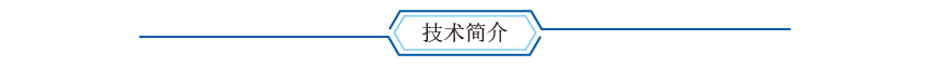 技术简介