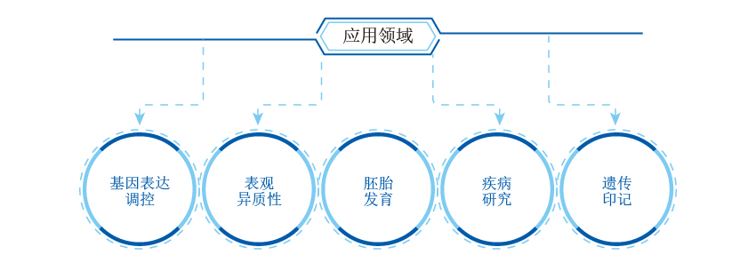 全基因甲基化测序应用领域