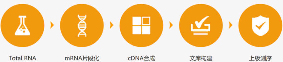 1632896241(1).png