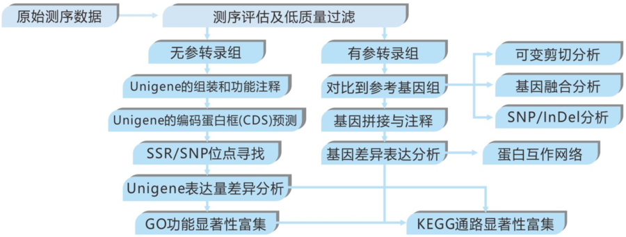 1632896072(1).png